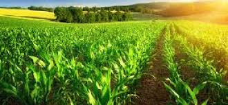Agriculture Crop Insurance Market