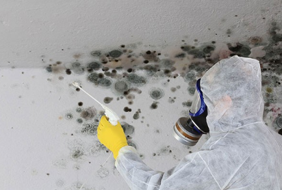 Best Mold Remediation Lakewood CO Logo