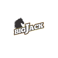 Bigjack Logo