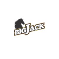 Company Logo For Bigjack'