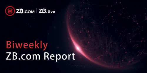 zb biweekly report'
