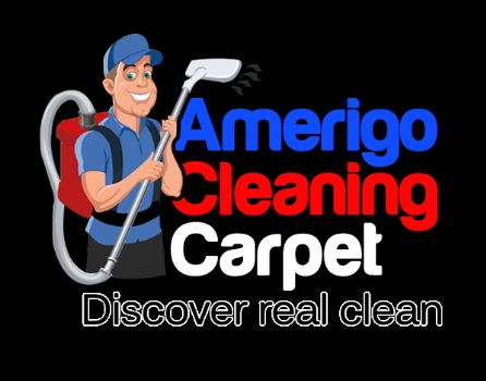 Company Logo For Carpet Cleaning Ashburn'