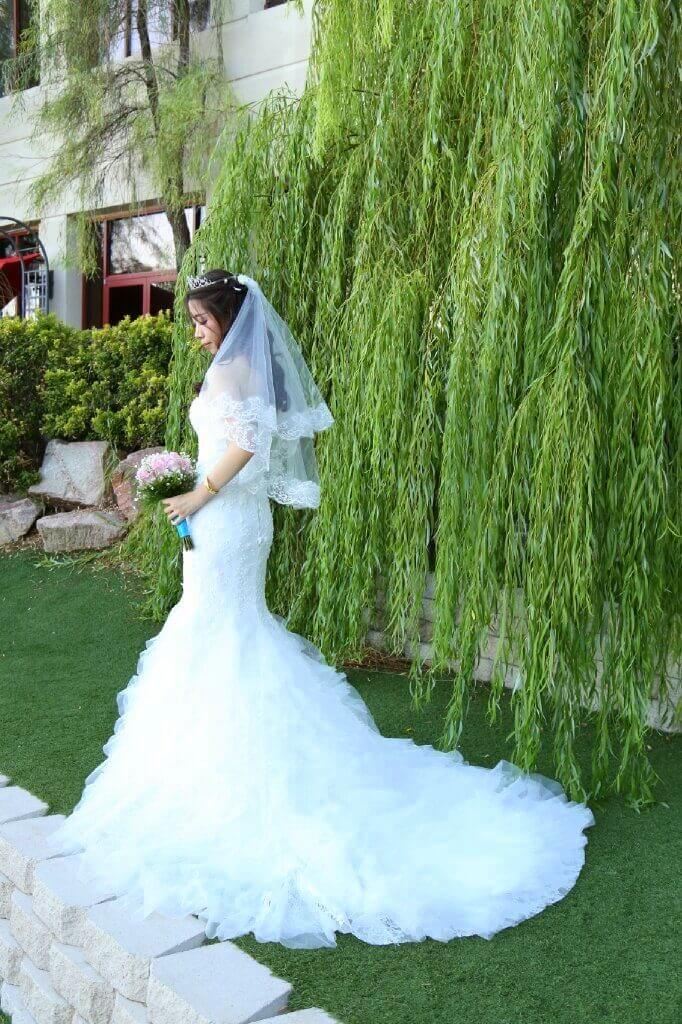 Las Vegas Wedding Packages'
