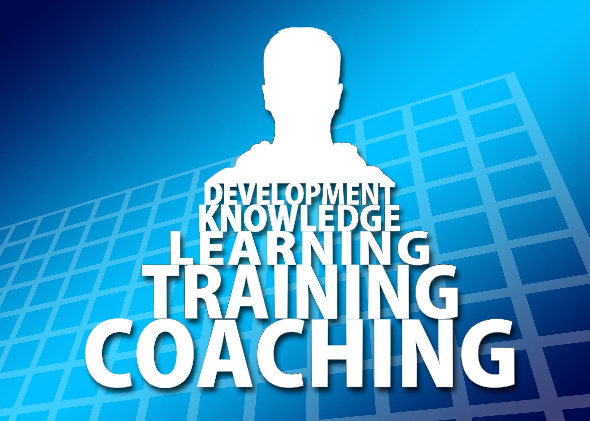 Senior Executive Coaching'