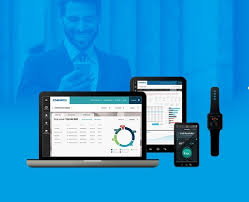 Wealth Management Software'