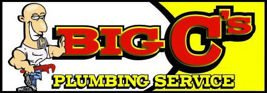 Company Logo For Big C's Plumbing Services'