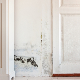 Asbestos Removal'