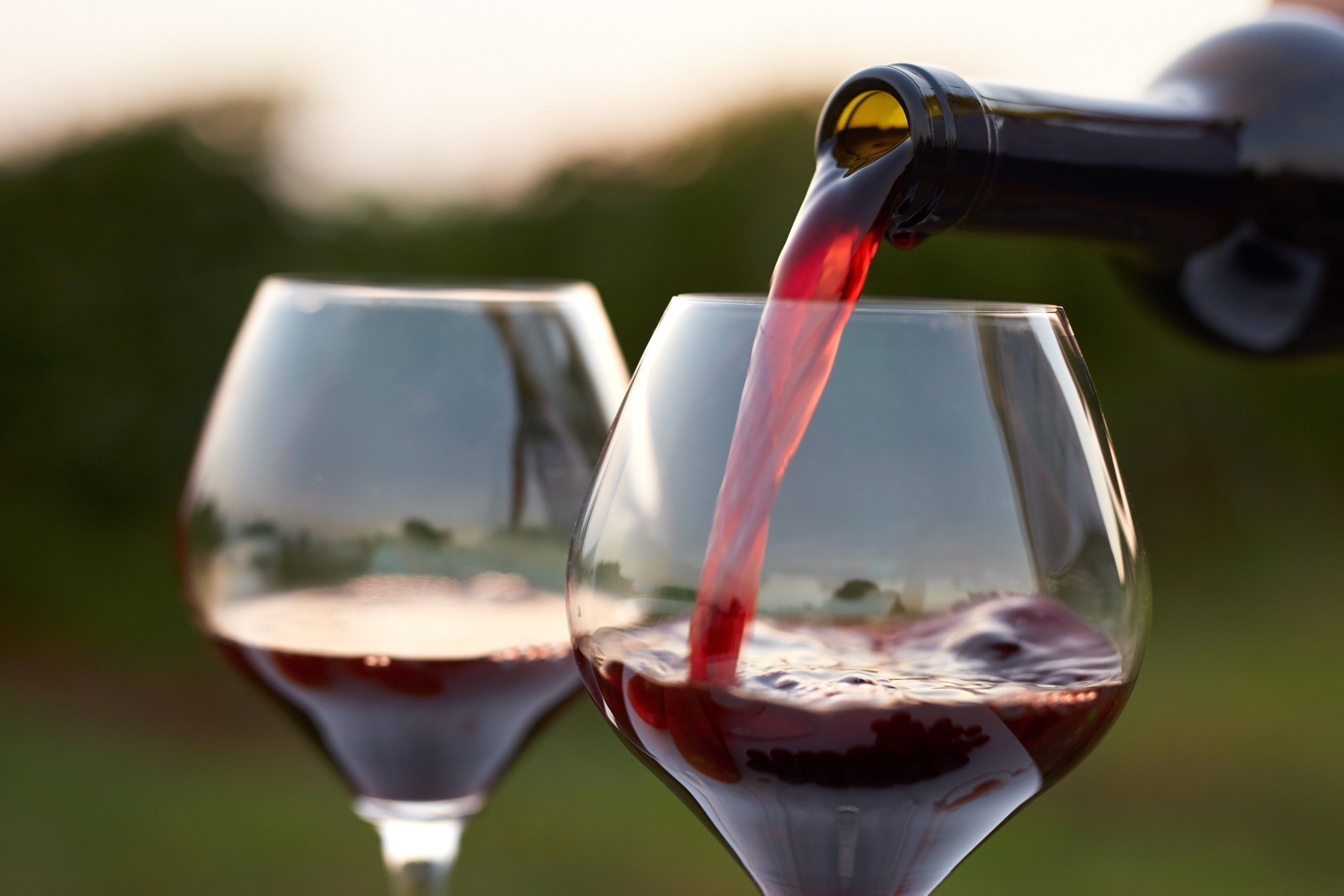 Red Wine Market