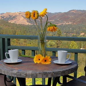 Wine Country'