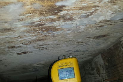 Company Logo For Best Mold Testing Company Los Angeles CA'