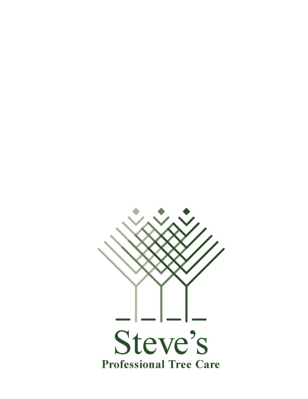 Company Logo For Steve's Tree Service'