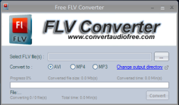 Flv to Mp3'