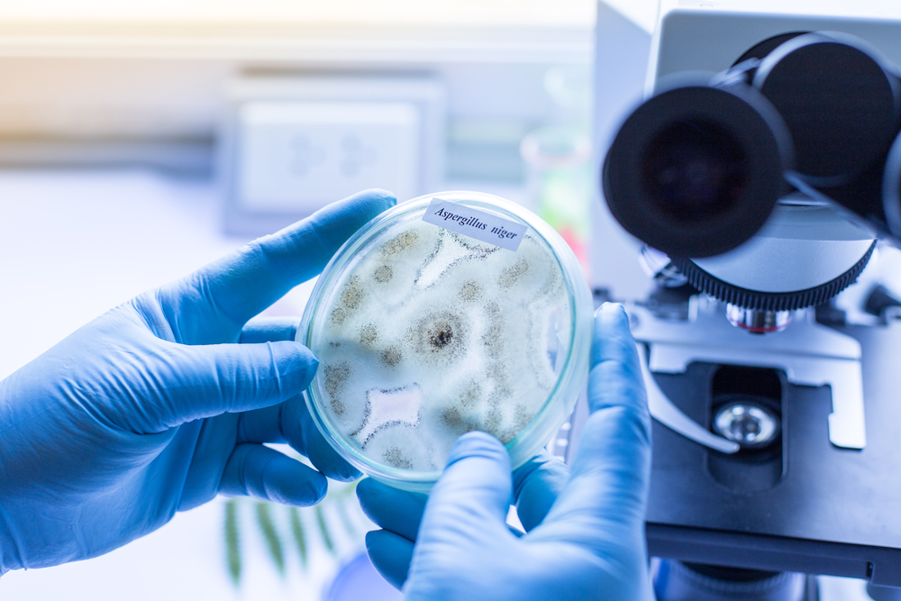 Aeris Florida Indoor Air Testing