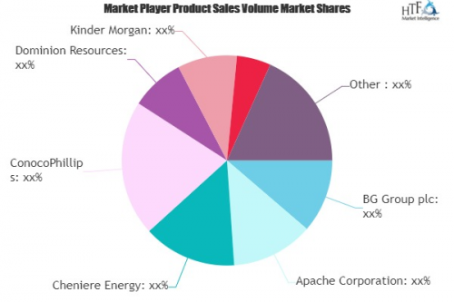 Natural Gas Market SWOT Analysis by Key Players: Apache, Che'