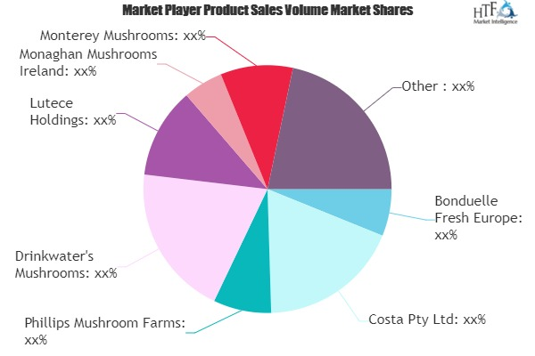 Fresh Mushroom Market