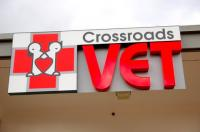 Bellevue Crossroads Vet Logo