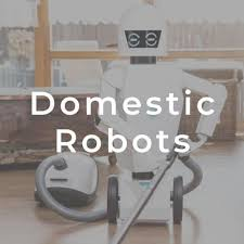 Domestic Robots Market