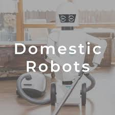 Domestic Robots Market'