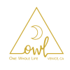 Company Logo For Owl Venice'
