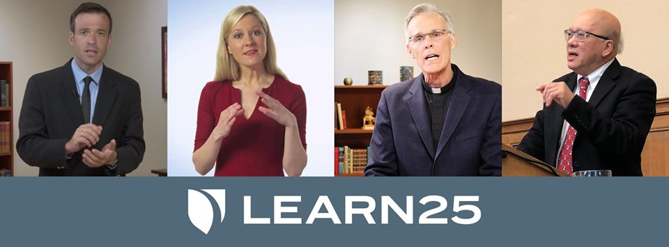 Company Logo For Learn25'