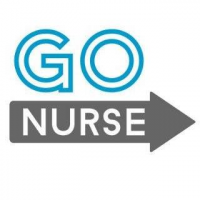 Go Nurse - Nursing Agency Logo