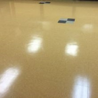 Proteck Carpet and Tile Cleaning Logo