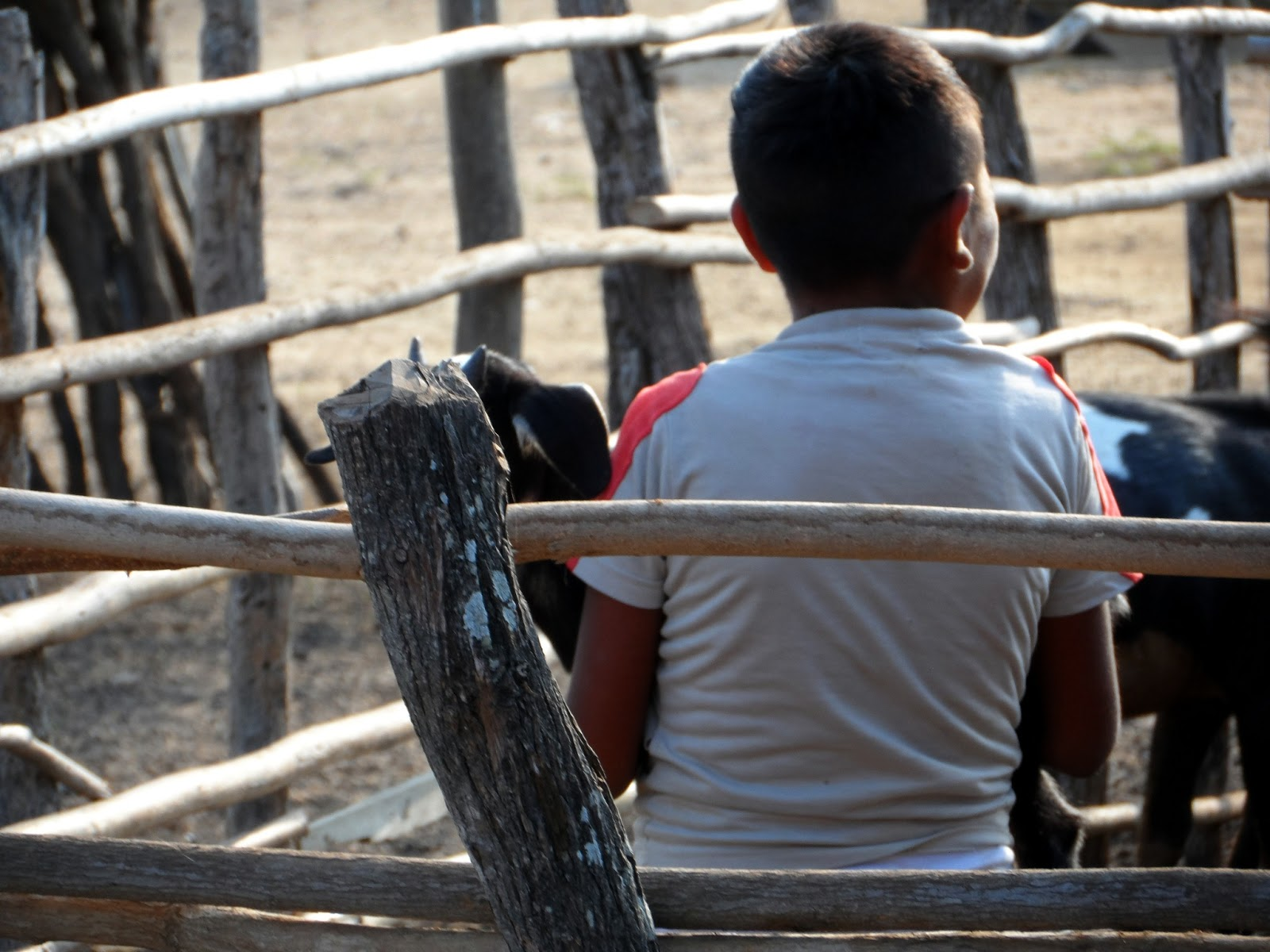 Fountain of Life, Potable Water For The Indigenous Wayuu'