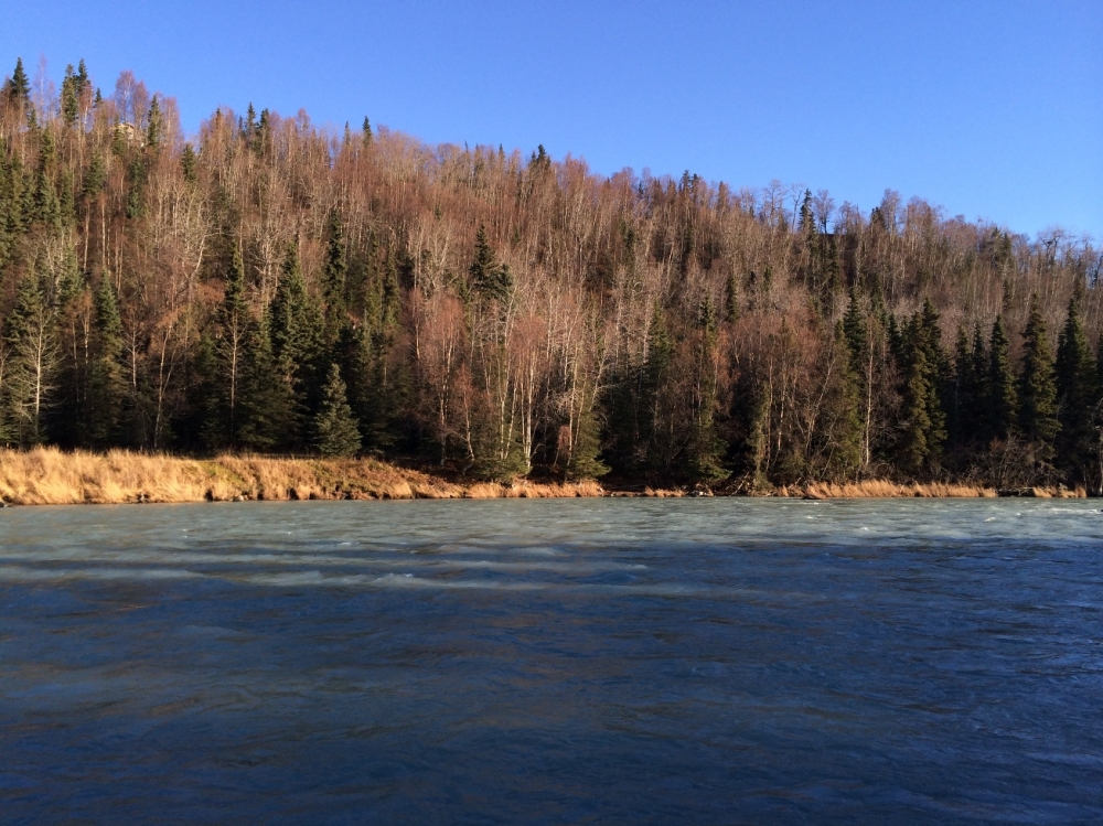 Latest Hunting Land For Sale