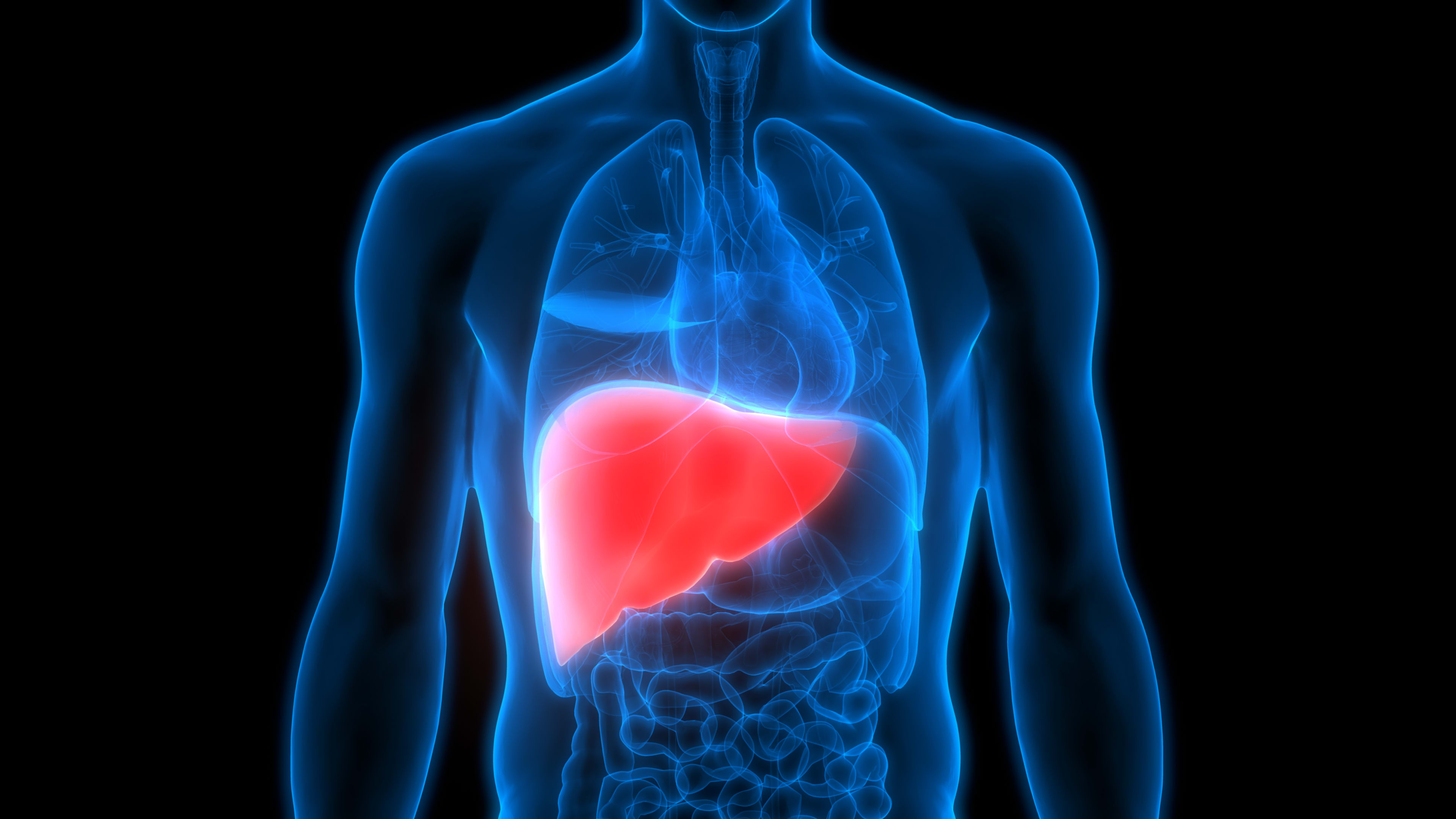 Liver Diseases Therapeutics Market