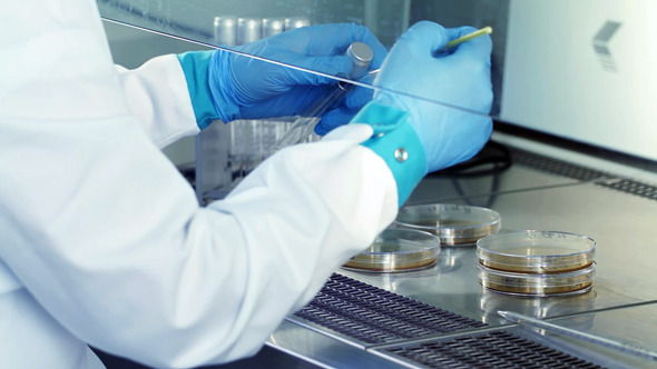 Particle Size Analysis Market