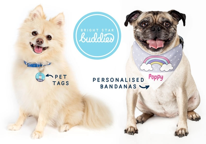 Dog Collars'