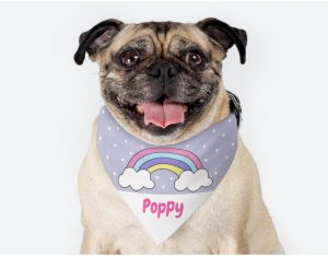 Dog Bandanas'