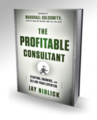 The Profitable Consultant