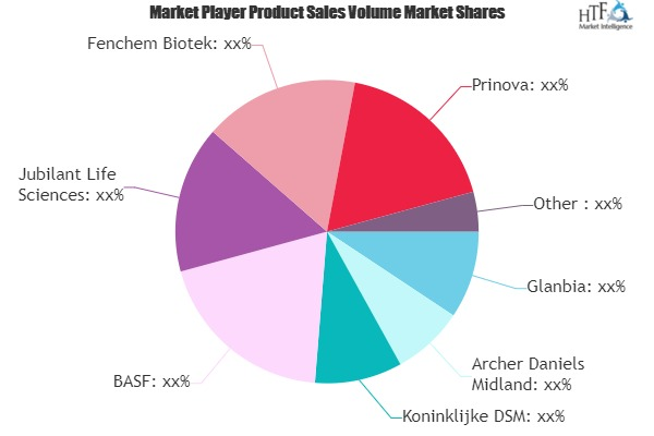 Food Premix Market'