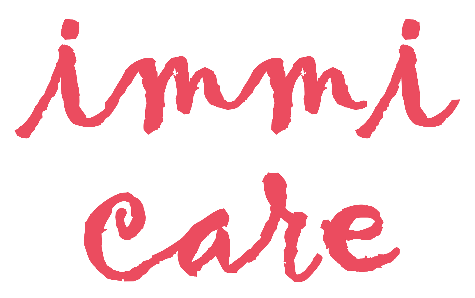 Immi Care Logo