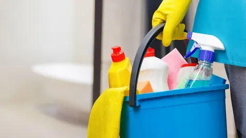 NDIS Cleaning Marks Point'