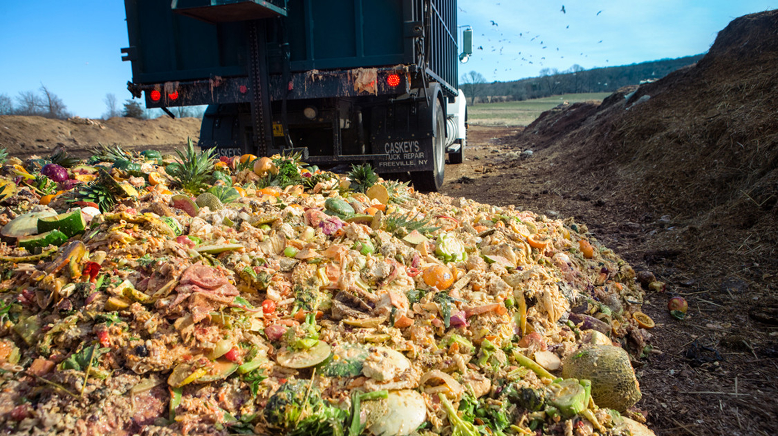 Food Waste to Energy Market'