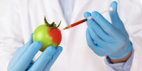 Food Biotechnology Market