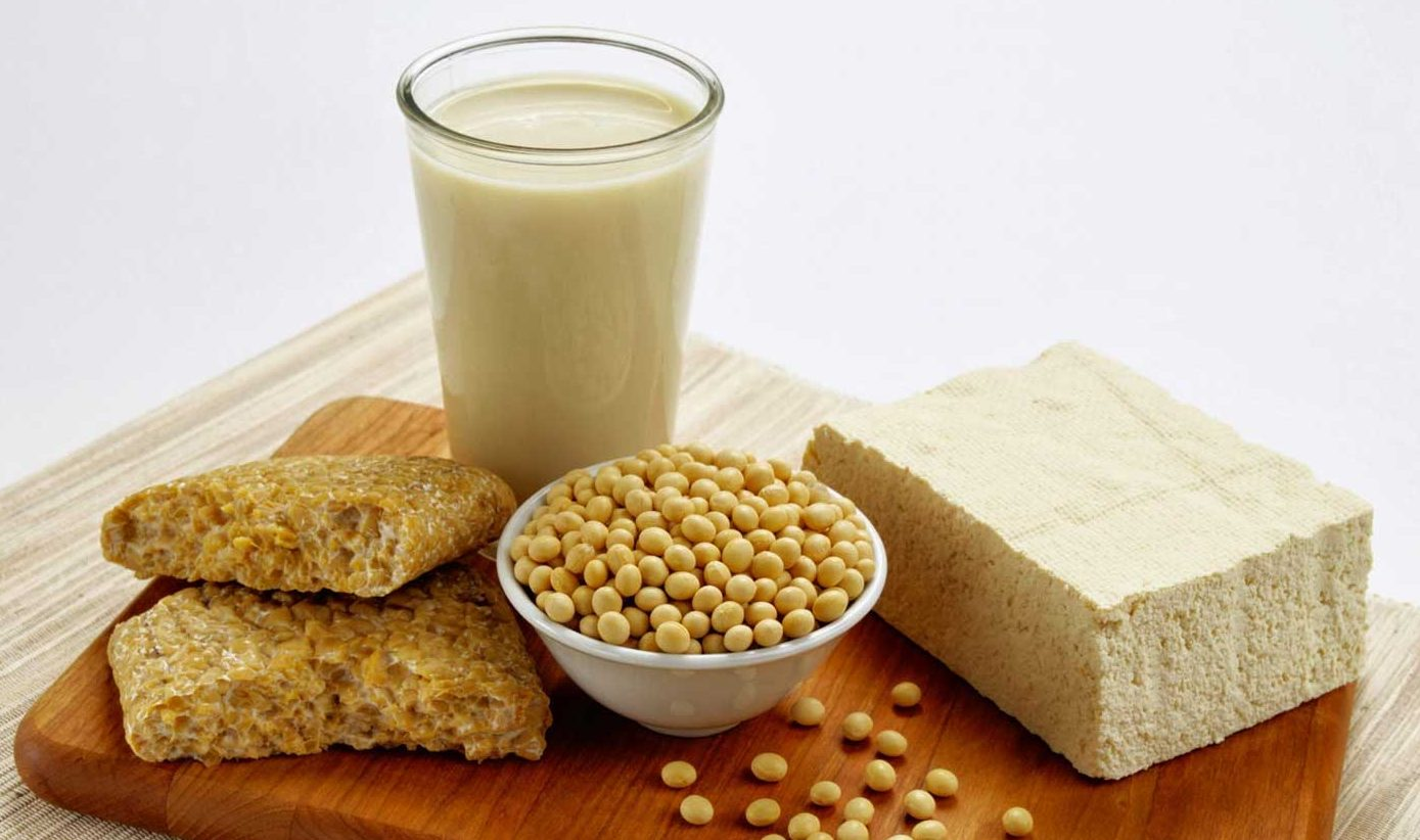 Soy Protein Ingredients Market'