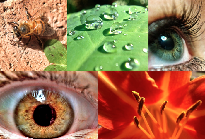 WoW Lens: The future of mobile photography'