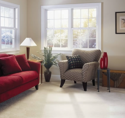 Double Hung Windows'