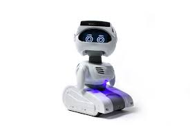 Autonomous Robot Market