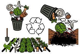 Wet Waste Management Service