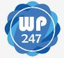WePromote247.com Logo
