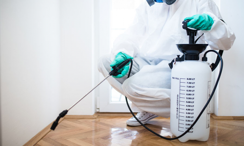 Household Insecticide Market'