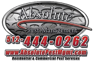 absolute pest management'
