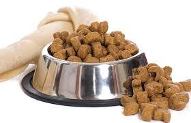 Frozen Pet Food Market'