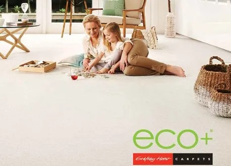 Timber Flooring'