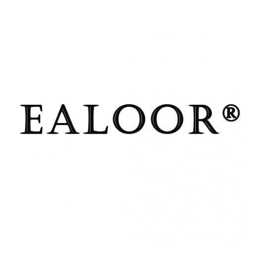 Company Logo For Ealoor Academy &amp;amp; Consultancy'