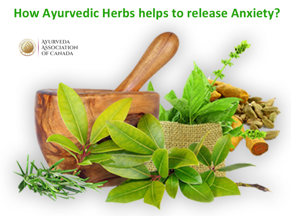 Herbal Therapies Center.'